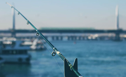 67381����-��Ϸ�ٷ���վ