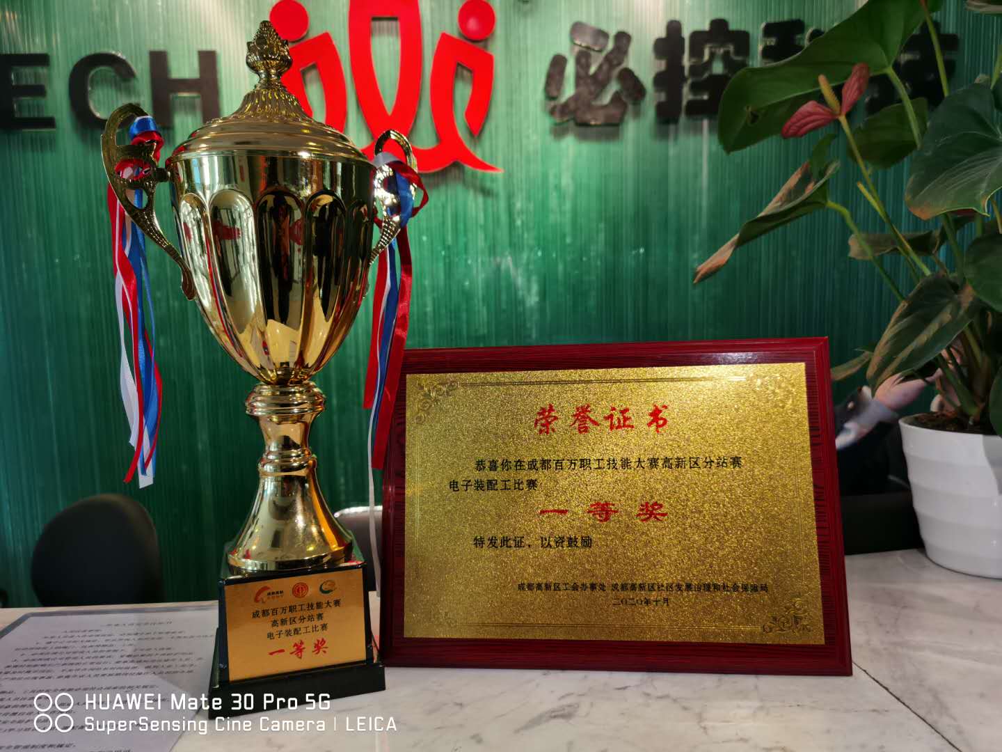 67381����-��Ϸ�ٷ���վ